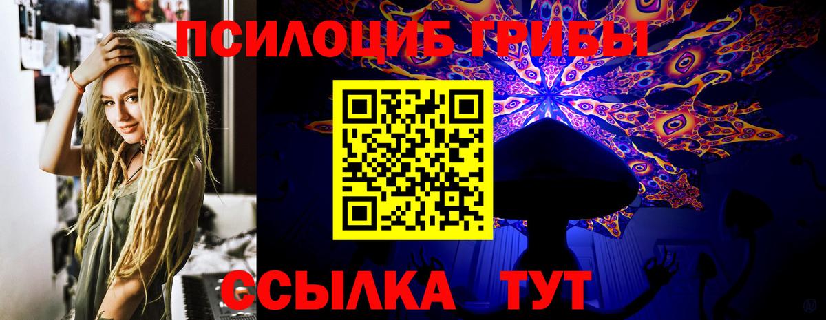 Псилоцибиновые грибы Psilocybine cubensis Черемхово
